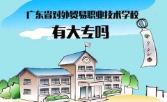 贵州省对外贸易职业技术学校有大专吗